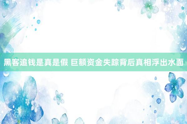 黑客追钱是真是假 巨额资金失踪背后真相浮出水面