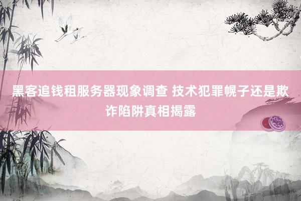黑客追钱租服务器现象调查 技术犯罪幌子还是欺诈陷阱真相揭露